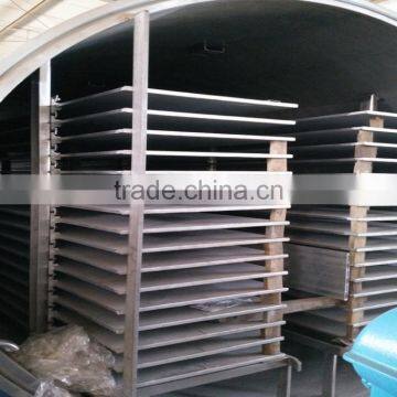 Fruits and Vegetable Vacuum Freeze Drying Machine
