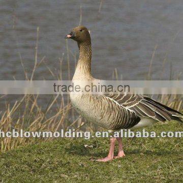 Shen Zhen Blow Mold Plastic Goose Decoys