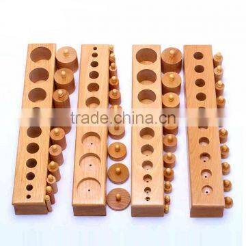 Teaching AIDS Wooden educational toys montessori Cylinders blocks