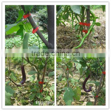 Vine Tying Tools for Tapetool With no Tape Flotsam photo-2