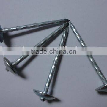 Hot Sales! China Factory Supply High Quality Galvanized Umbrella Head Roofing Nails photo-3