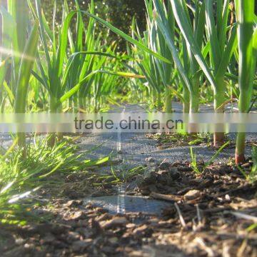 Vegetable Garden Mats photo-6