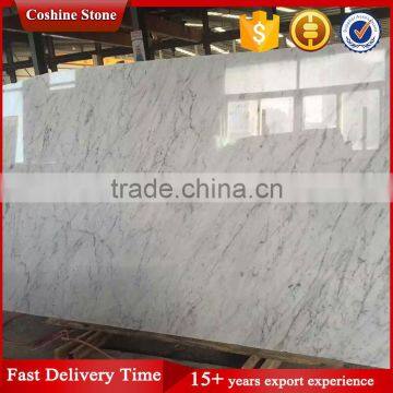 Wholesale price carrara white marble slabs