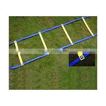 Fixed Agility Ladder