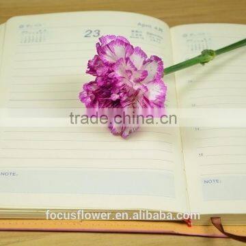 Carnation For Gift Import With High Quality