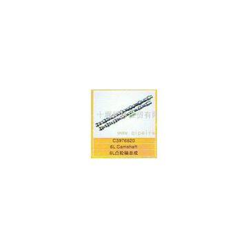 Dongfeng L engine camshaft C3976620