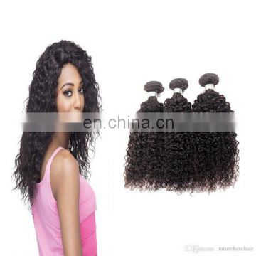 2017 hot sale kinky curly indian hair salon chair hair 100% human virgin indian woman long hair sex