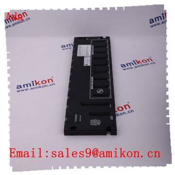 Direct Logic Plc Module GE Fanuc IS200EXAMG1AAB