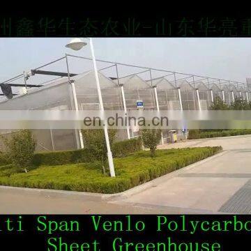 Low Price Complete polycarbonate greenhouse garden greenhouse with hydroponic strawberry growing system