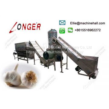 Automatic Garlic Processing Plant