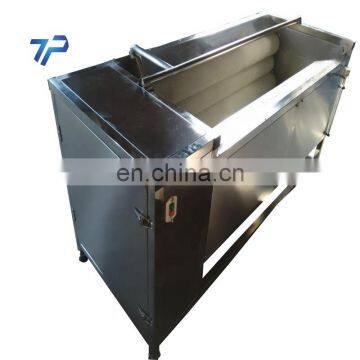 Carrot Stainless Steel Fruit and Vegetable Washing Machine