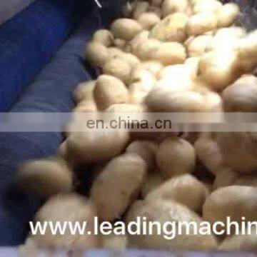 Automatic vegetable peeling machine for commercial use