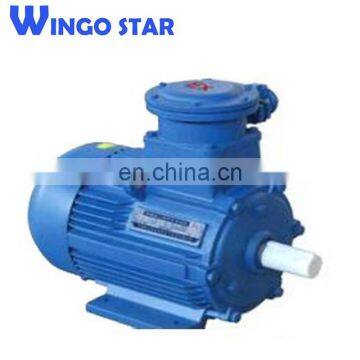 YB2 Explosion Proof Electric Motor photo-6