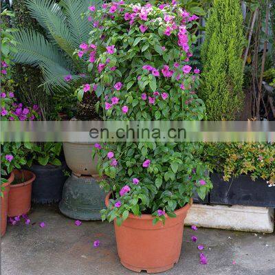 Factory Supply Indoor 24.6 Inches Support Bendable Sticks Plants Moss Pole Plastic photo-4