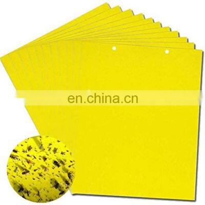 Dual Yellow Sticky Flying Insect Glue Trap Flies For Flying Plant Insect  Fungus Gnats Aphids  Pest Control