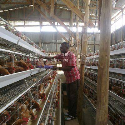 Battery layer chicken cages rearing 10000-50000 birds for poultry farm