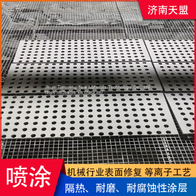 Surface Treatment of Filter Core Plate Using Plasma Technology for Corrosion Prevention, Wear Resistance, and High Temperature Resistance