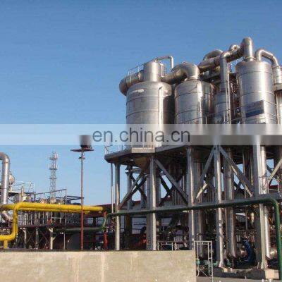 CHINA Genyond Tomato Paste Line Tomato Processing Ground Peeled Tomatoes photo-2