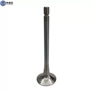 Exhaust valve intake valve brake valve OM457 OM460 OM501 OM502 A5410530101