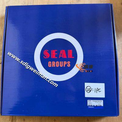 ORIGINAL VOLVO SEAL VOE14667679 GEEIGNET FÜR VOLVO BAGGER