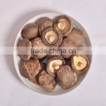 Hot Sun-Dried Organic Shiitake Mushroom photo-6