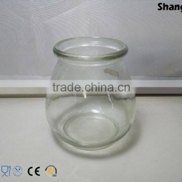 550ml Clear Round glass Vase/home Decoration Flower Vase