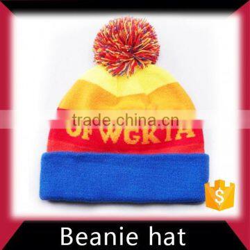 Custom plain winter beanie cap