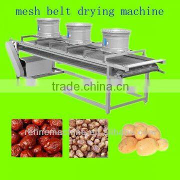 mesh belt date drying machine/equipment/plant