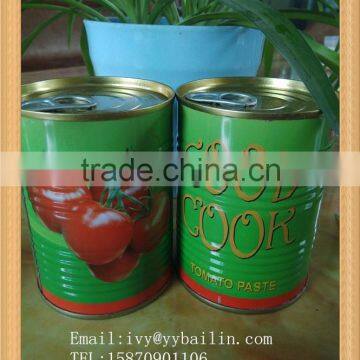 400g*24tins Canned tomato paste with premium grade