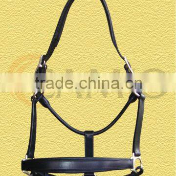 Padded Halter Leather Halter