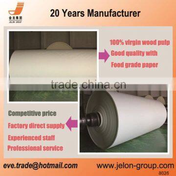 China Manufacturer 185gsm PE Coated Paper in Sheet