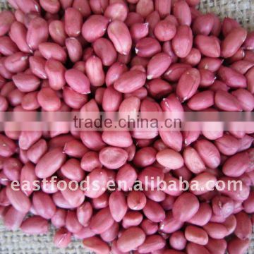 red skin peanut kernels 60/70