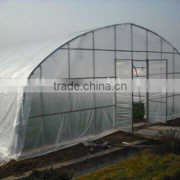 Economical Tunnel greenhouse