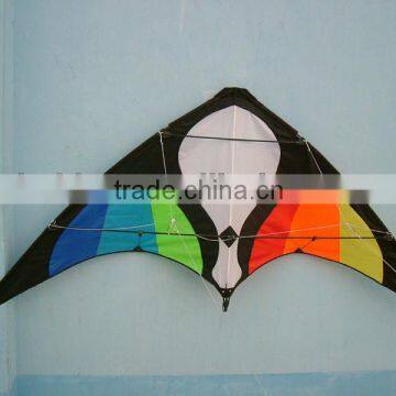 China sport kite from kite factory