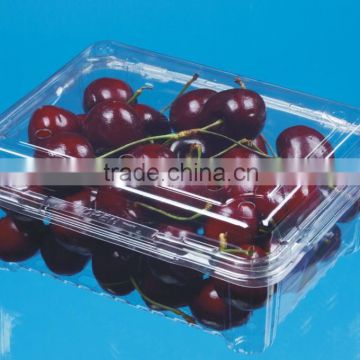 Disposable Transperant apple fruit packaging plastic boxes