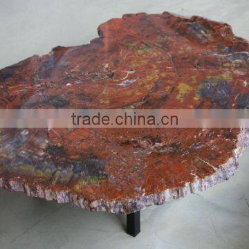 Arizona Petrified wood coffee table or side table, Indosign BV, specialist in products of petrified/fossil wood