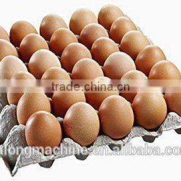 Factory Professional Egg Tray Making Machine /Paper Egg Tray Machine / Egg Tray Forming Machine photo-6