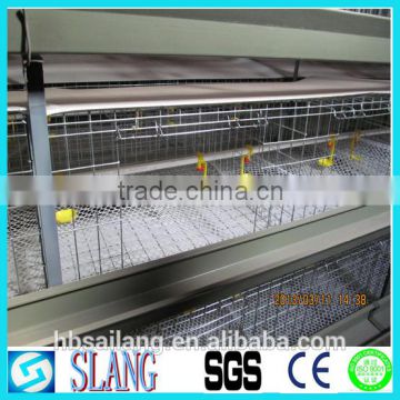 High quality automatic poultry cage chicken layer cage for farm