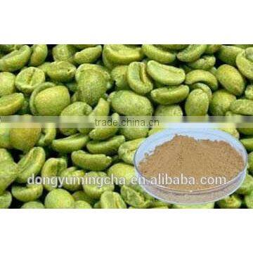 Green Coffee Bean Extract for food supplement