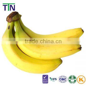 TTN Export Organic Market Prices Dried Fruit Powder Flour Banana photo-2