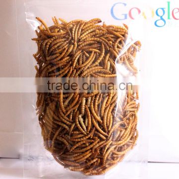 Wholesale Dried Mealworms Plastic Zipper Bag