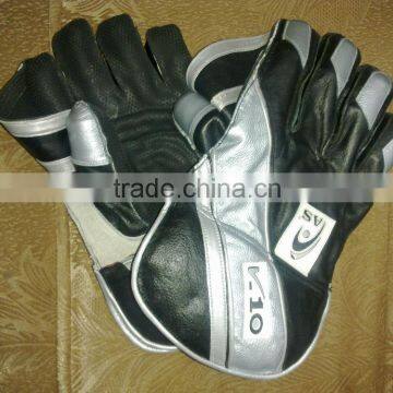 AS Cricket Wicket Keeping Gloves