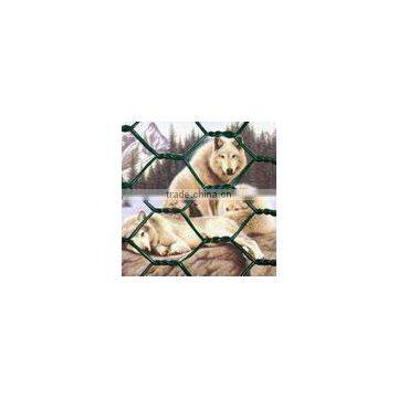 stainless steel PVC coated hexagonal wire mesh