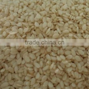 hulled sesame seed export to vietnam