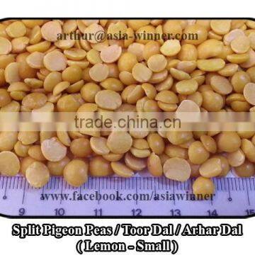 Toor Dal / Split Pigeon Peas / Arhar Dal / Cajanus Cajan (Red Ruby) photo-3