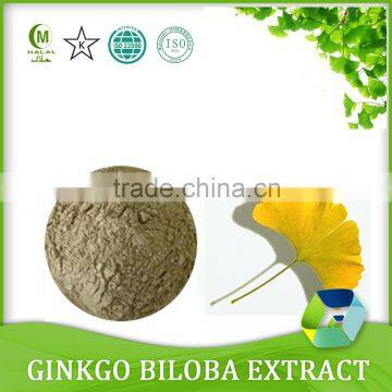 Ginkgo Biloba Extract/Ginkgo Biloba Seed/Ginkgo Biloba leaves