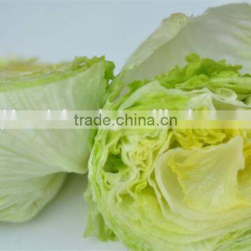 Hot sale Fresh lettuce/Green lettuce/iceberg lettuce