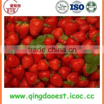 15-25mm For Sale Bulk Fresh Strawberry photo-4