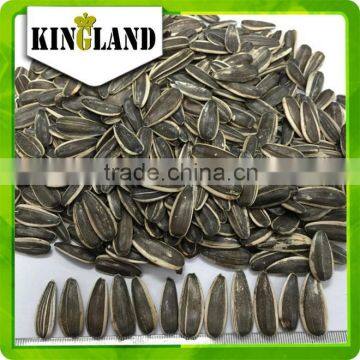 8mm Import Sunflower Seeds