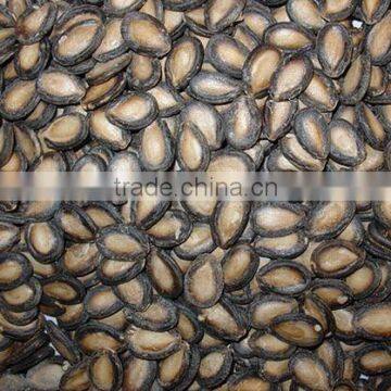 size of 6-7mm best quality in 2013 best watermelon seeds